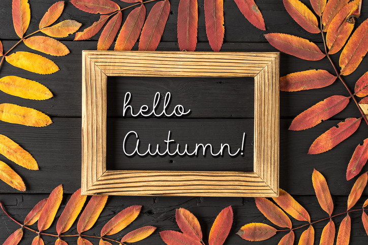 Hello Autumn White Chalk Lettering On Blackboard. Concept Of The Fall Season
